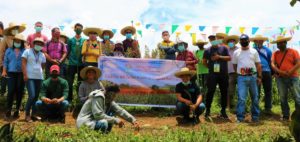 Agri field day pushes for sorghum crop’s prod'n, mktg