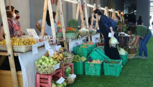 DA, SM, Resto PH open farmers’ produce market in Oro