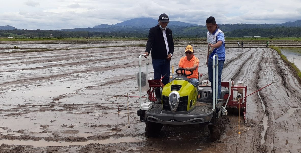 DA-10, CMU set up 50-ha demo farm in Bukidnon, push hybrid rice