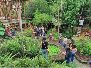 PWDs, solo parents take part in DA-10’s ‘Gugma’ agri gardening
