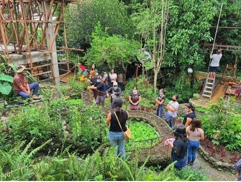 PWDs, solo parents take part in DA-10’s ‘Gugma’ agri gardening