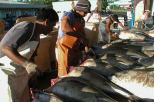 Covid-19 triggers 4-day partial shutdown of Gensan fishport