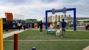 SM CDO Downtown Premier opens dog park, co-working space today