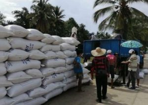 Give a fair return by selling palay to NFA, exec urges Normin farmers