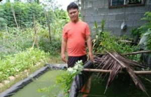 DA-10 cites growth of farmer’s ingenuity under 'Saad' program