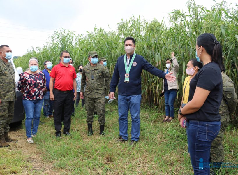 Execs to ex-rebels: rebuild lives through govt's reintegration