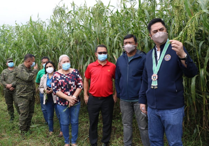 Govt sees ‘Adlay' to boost income, lives of small  farmers in Normin