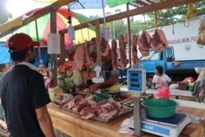 Normin’s hog supply, prices remain stable amid ASF fear, says Collado