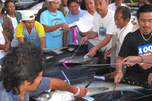Back to export mode for Gensan’s fresh tuna stocks