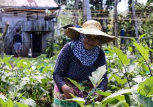 DA-10 urges Normin farmers to register in nationwide database