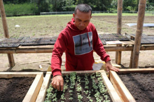 Sowing seeds of hope