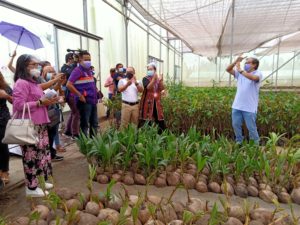 Misor Agri complex to boost coco sector, farmers’ income