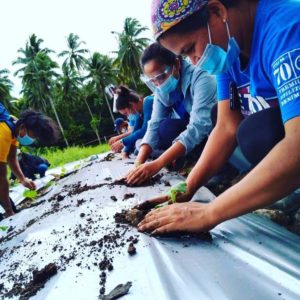 Telco firm supports transition to sustainable e-agriculture