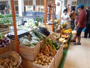Ayala’s Fair brings agri-fishery products in one shop: Madriaga
