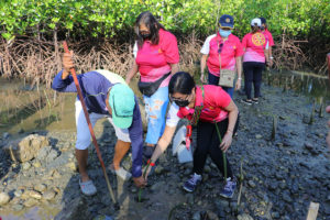 Rotary Club of Iligan Maria Cristina holds mangrove rehab