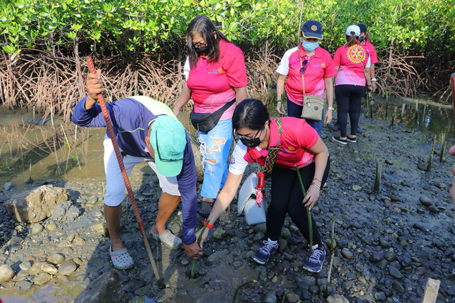Rotary Club of Iligan Maria Cristina holds mangrove rehab