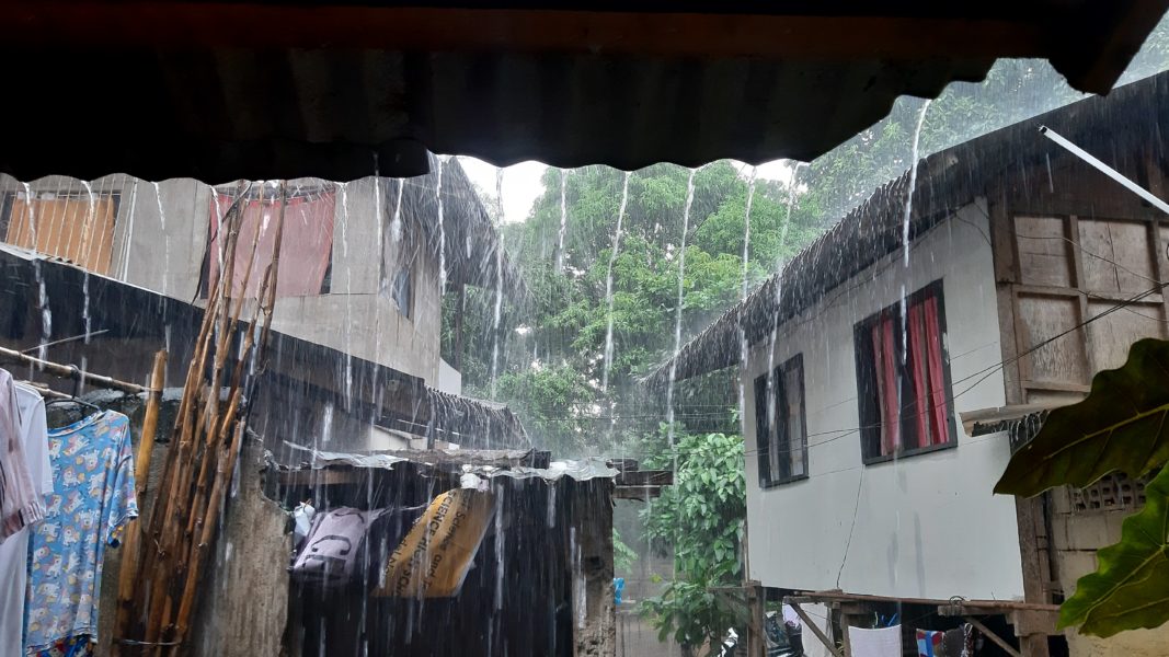Envi group tackles climate emergency