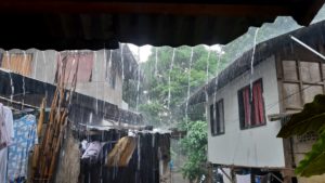 Envi group tackles climate emergency