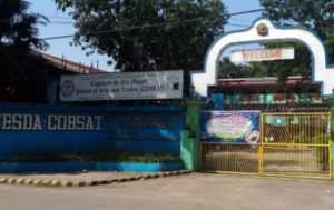 Tesda vows support for Cobsat’s  conversion into institute: Rufus