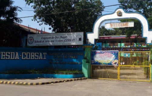 Tesda vows support for Cobsat’s  conversion into institute: Rufus