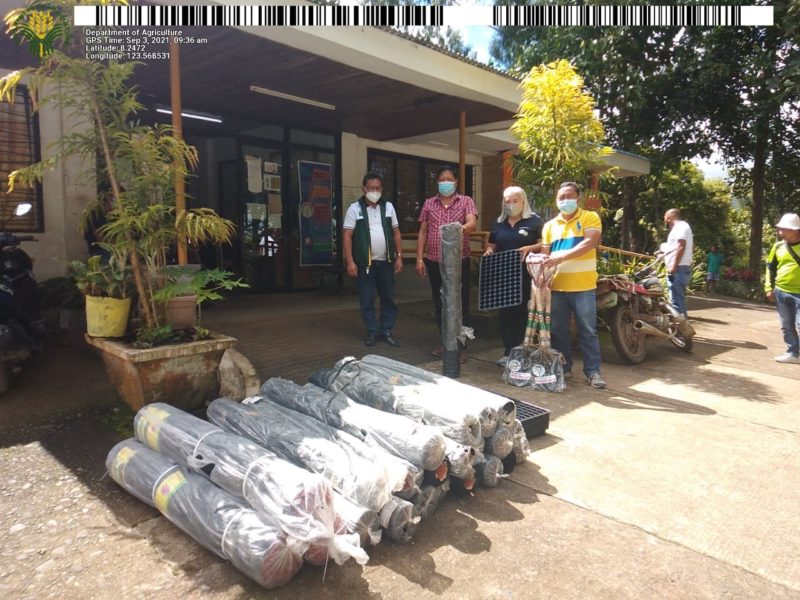 Misocc Subanen farmers get benefit from DA-10’s Saad
