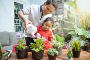 The joys of gardening with Ace Hardware hotline #11223