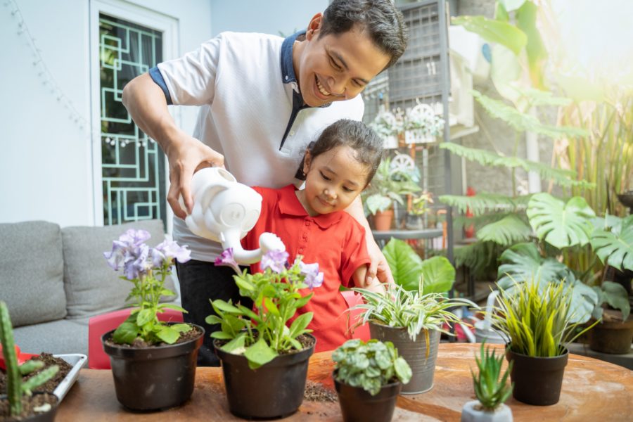 The joys of gardening with Ace Hardware hotline #11223