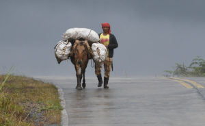 Produce transport