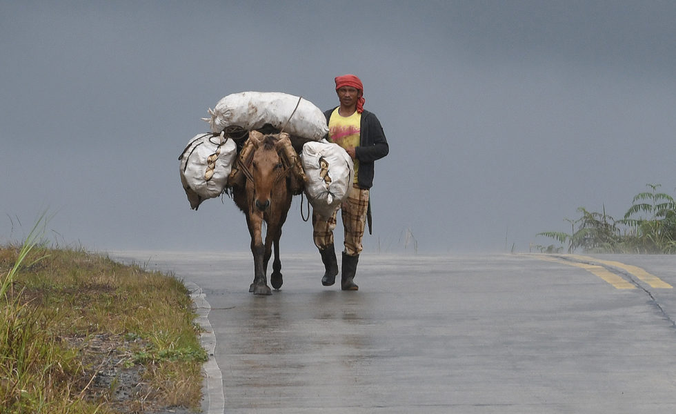 Produce transport