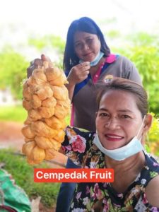 BRUA-Flores EcoFarm (BFF): A nursery of rare fruits, now an eco-farm tourism site in Mindanao