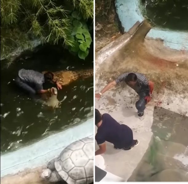 Grandpa bit by croc