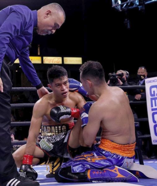 Boxing fans: Gaballo will have an epic comeback next year