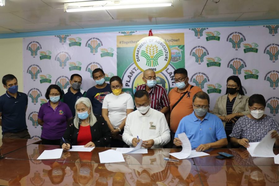 Musuan farmers eyed to adopt P1.21-million solar-fertigation