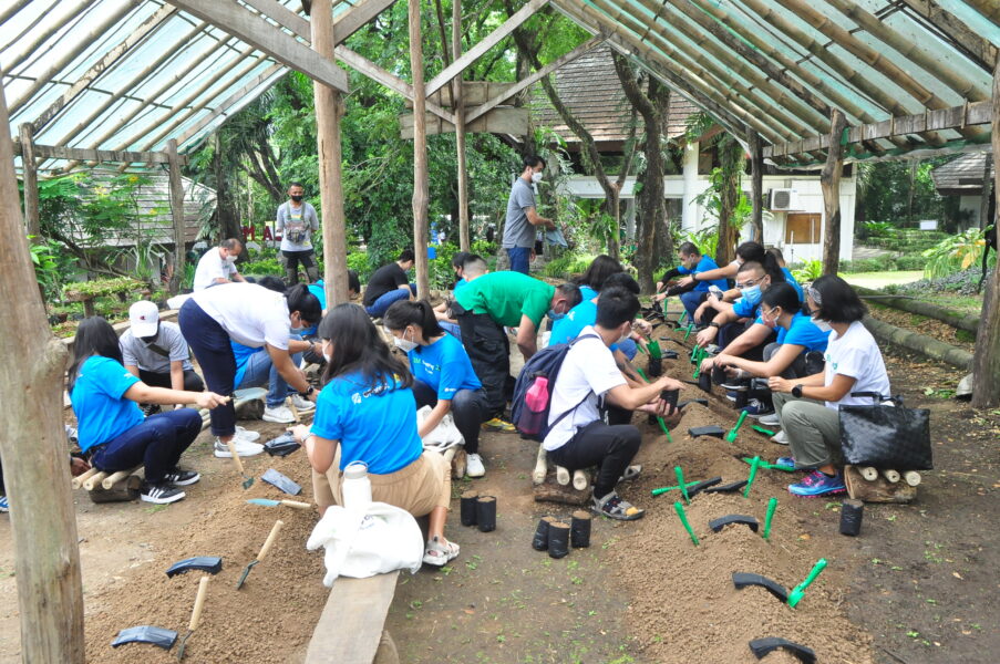 GCash, ABS-CBN Foundation plant 88,000 seedlings and launch new trees in GForest
