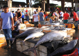 Meat of the sea