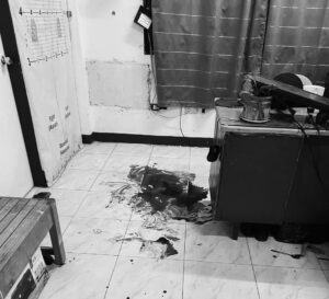 Cop shot suspect who grabs comrade’s gun