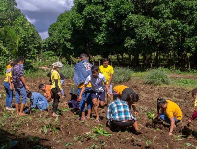 Young farmers' 'Baka' program empowers communities in Oro