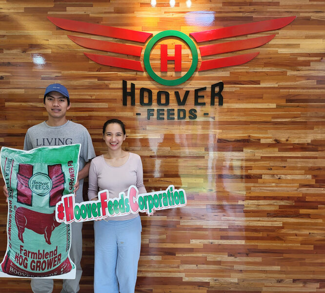 Hoover Feeds: The ultimate choice for poultry nutrition