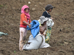 Bukidnon tops Normin in employing child labor