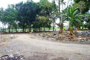 Isla Delta cleared: Illegal settlers relocated