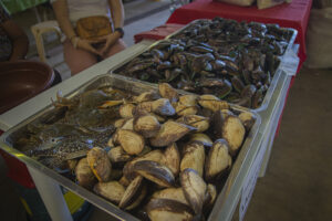 Camiguin sees 5.8% price surge