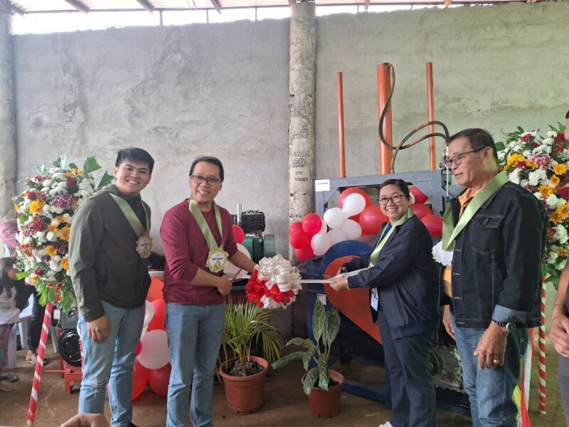 Bukidnon's pineapple waste turned wealth