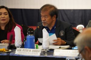 Gov. Unabia advocates infrastructure development at 137th RDC-X meeting