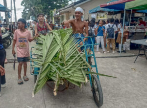 Bonbon chief wary of Nipa ‘extinction’