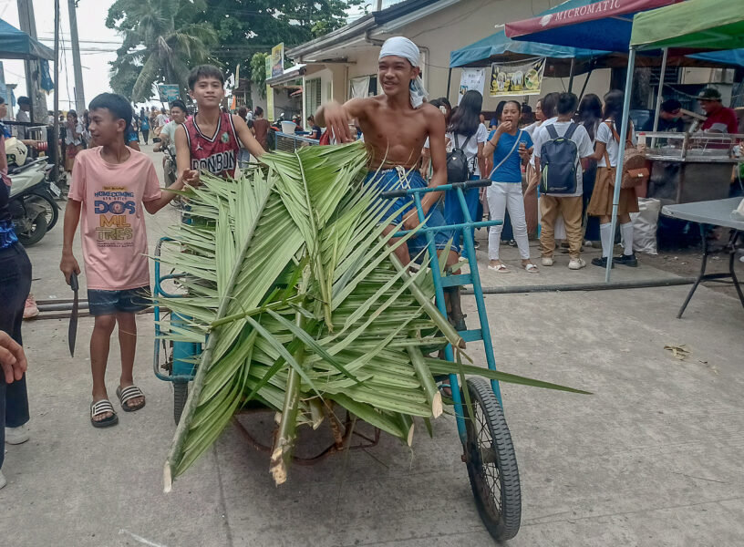 Bonbon chief wary of Nipa ‘extinction’