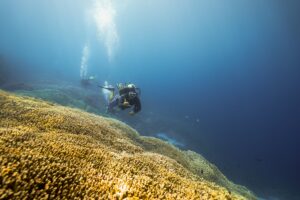 Dive Into Beauty: Discover why the Philippines is a premier dive destination