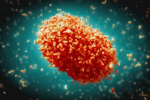 Contact tracing for Monkeypox initiated in Malabang