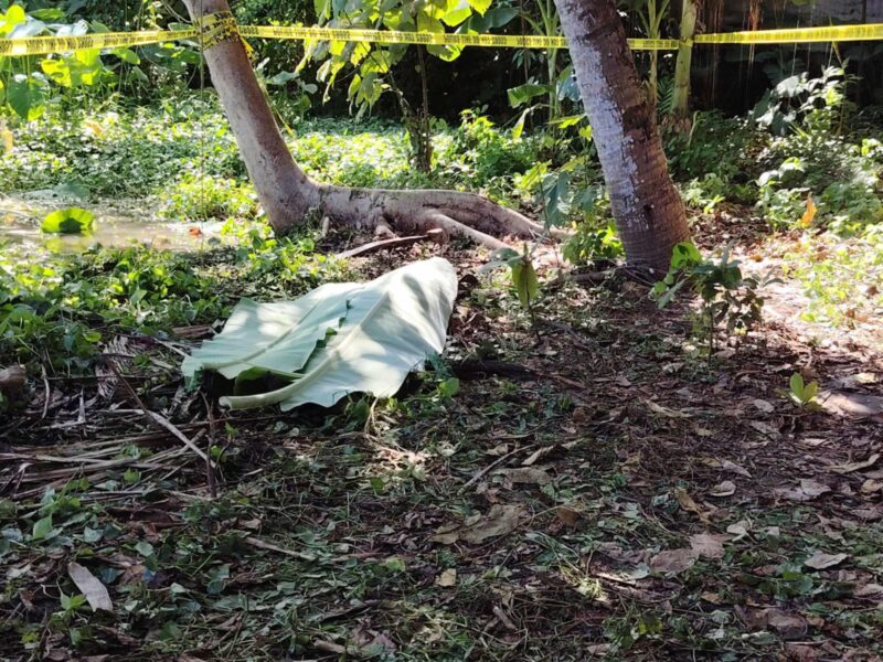 Girl found dead in rice field; suspect on the run in Lapasan