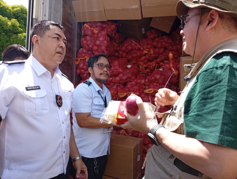 Customs seizes P2-m smuggled red onions