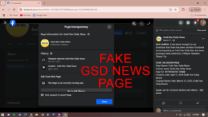 Digital doppelgangers: News outlets battle online impersonators